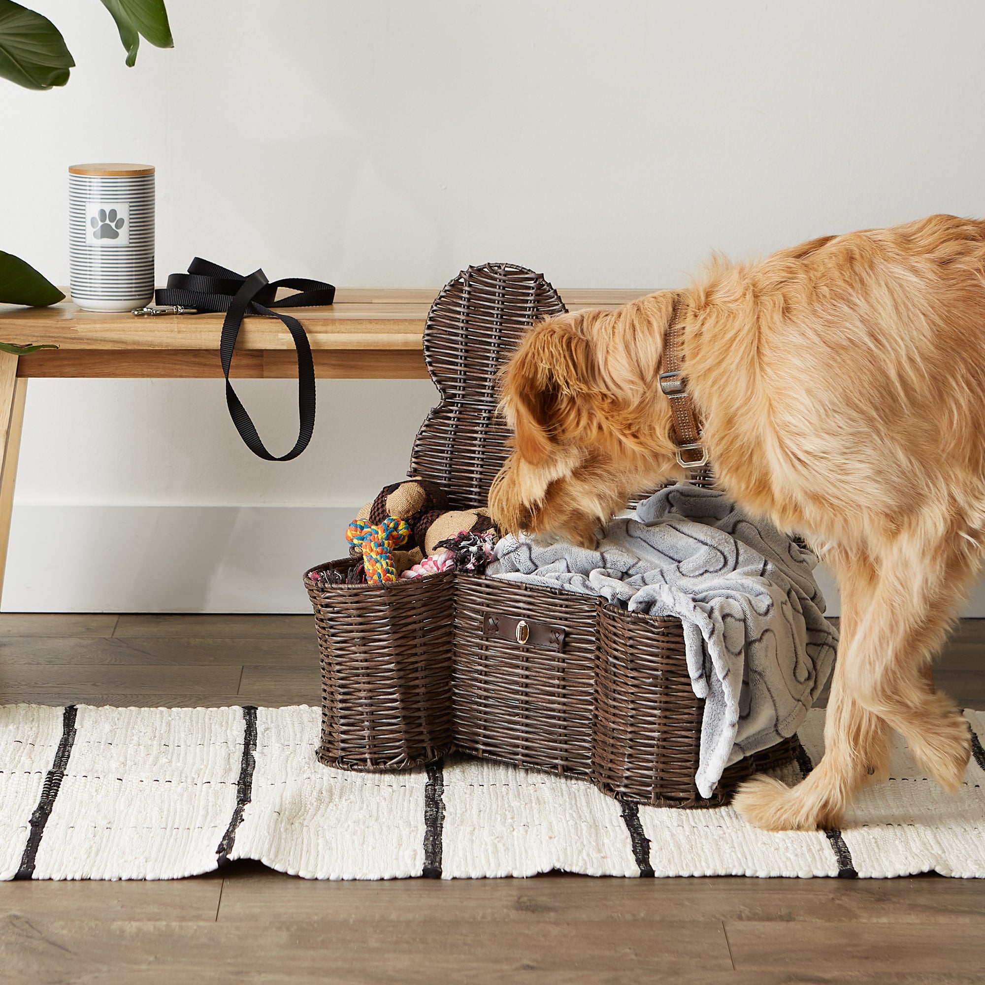 Pottery barn dog shops toy basket