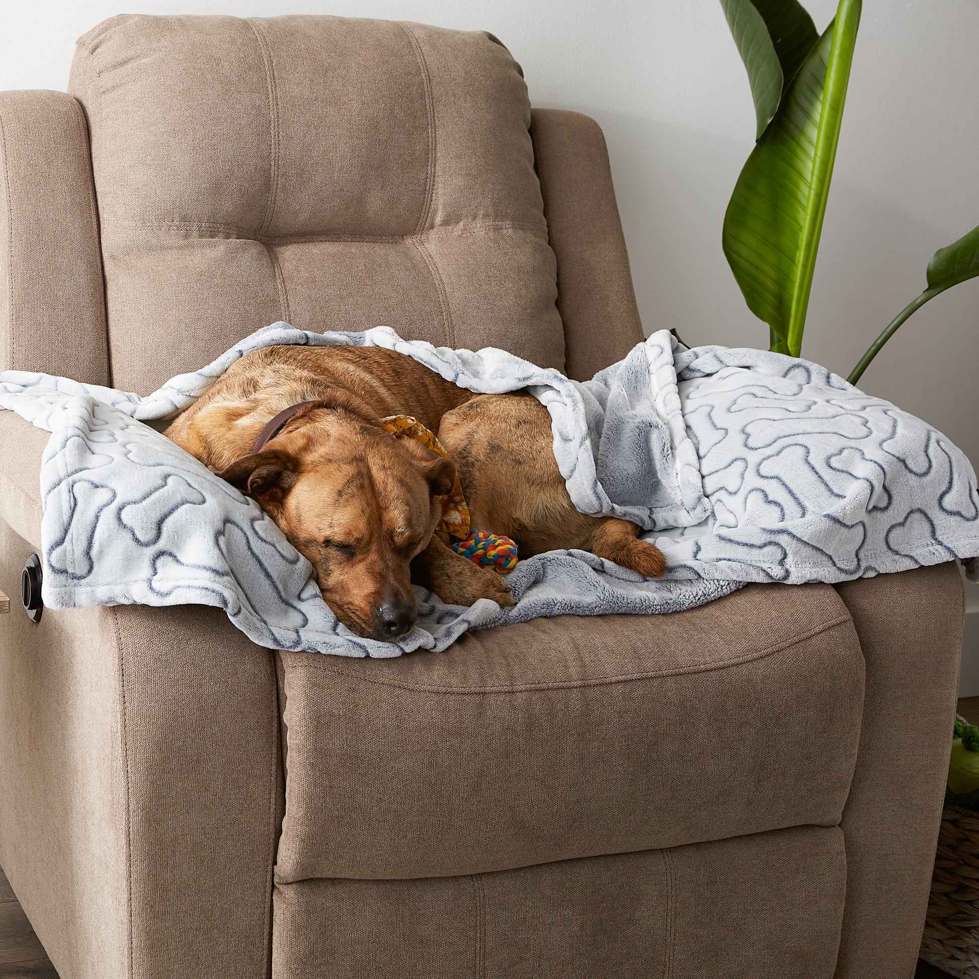 Gray Embossed Bone Print Pet Blanket