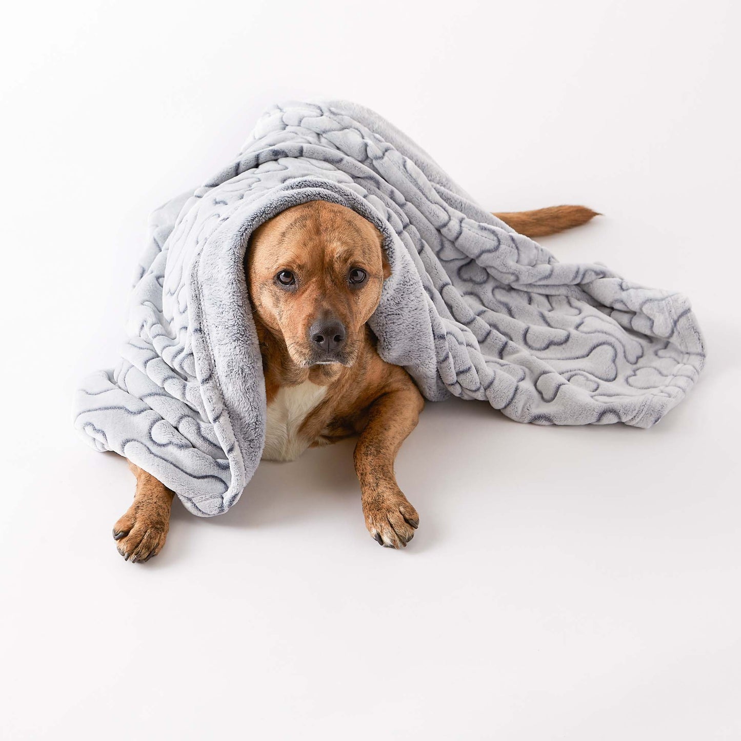 Bone Dry Fleece Pet Blanket, Embossed Bone Print, Gray - 36x48"