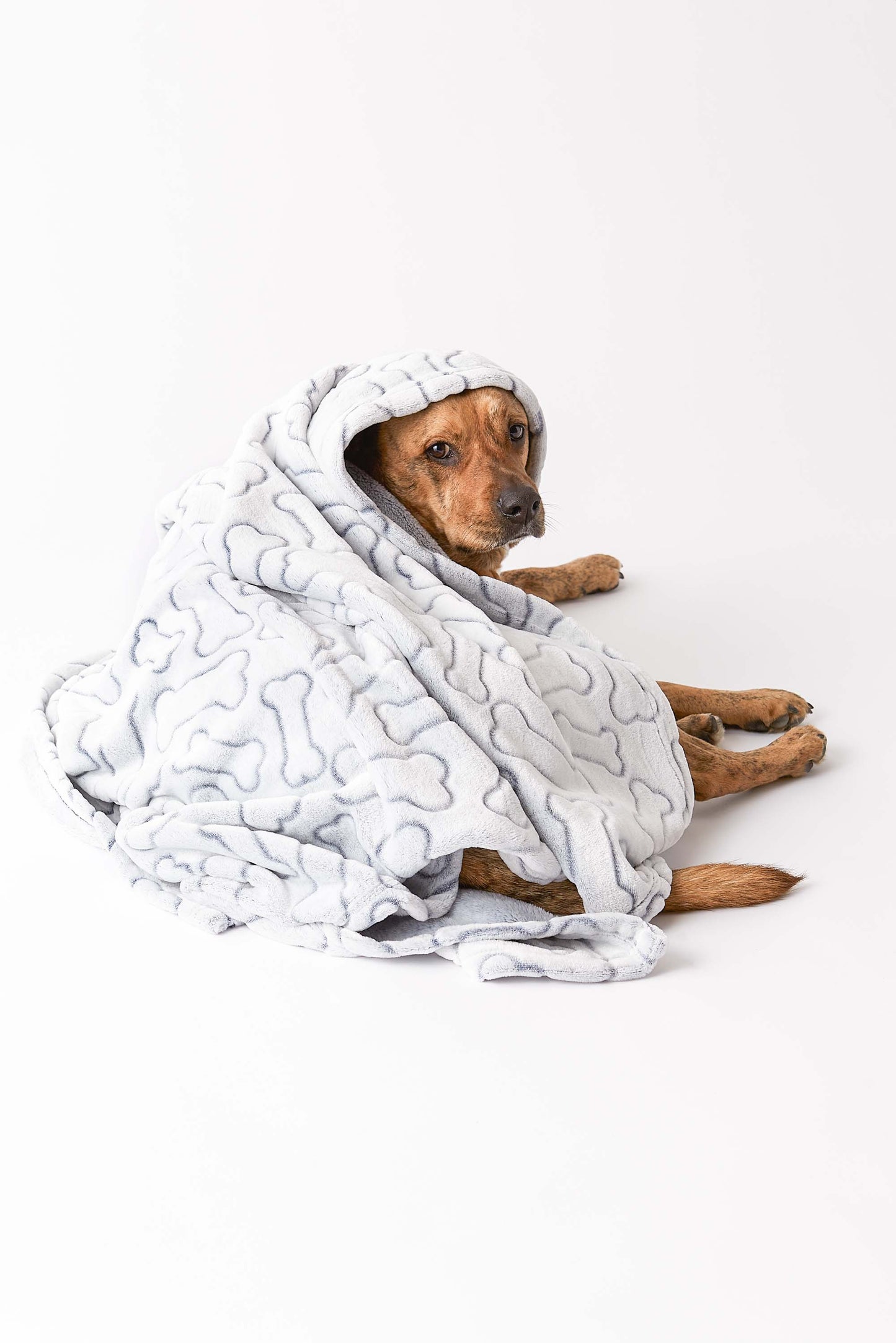 Bone Dry Fleece Pet Blanket, Embossed Bone Print, Gray - 36x48"