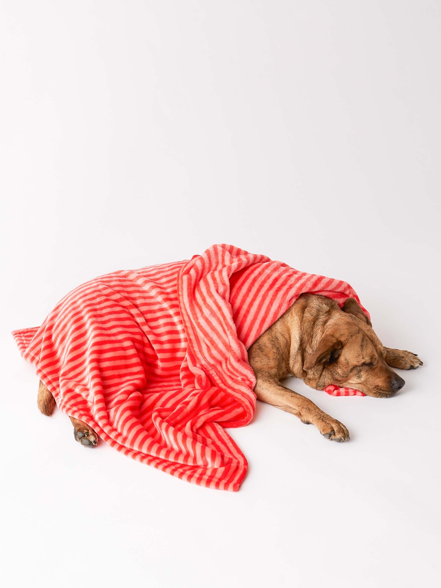 Bone Dry Fleece Pet Blanket, Embossed Bone Print, Red - 36x48"