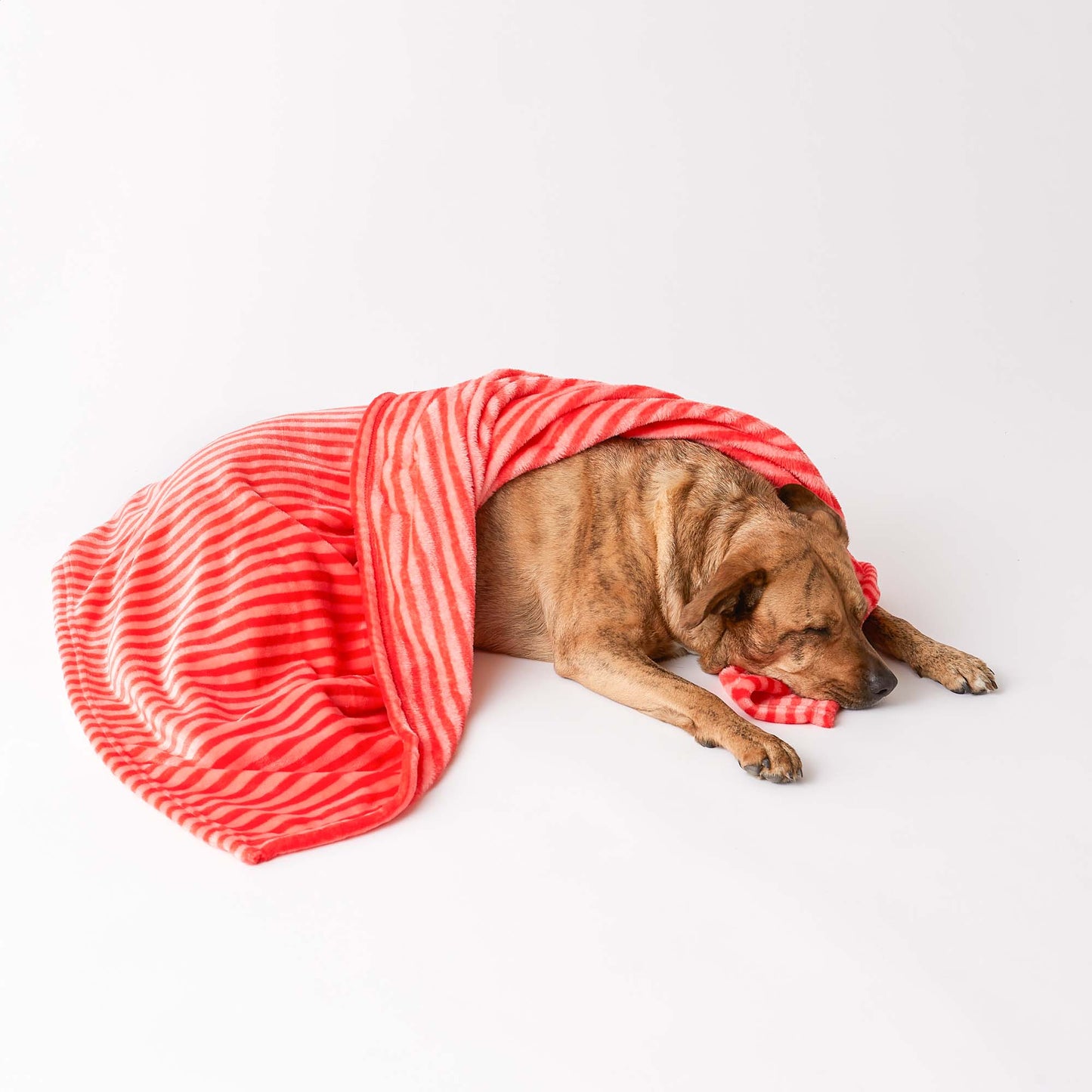 Bone Dry Fleece Pet Blanket, Embossed Bone Print, Red - 36x48"