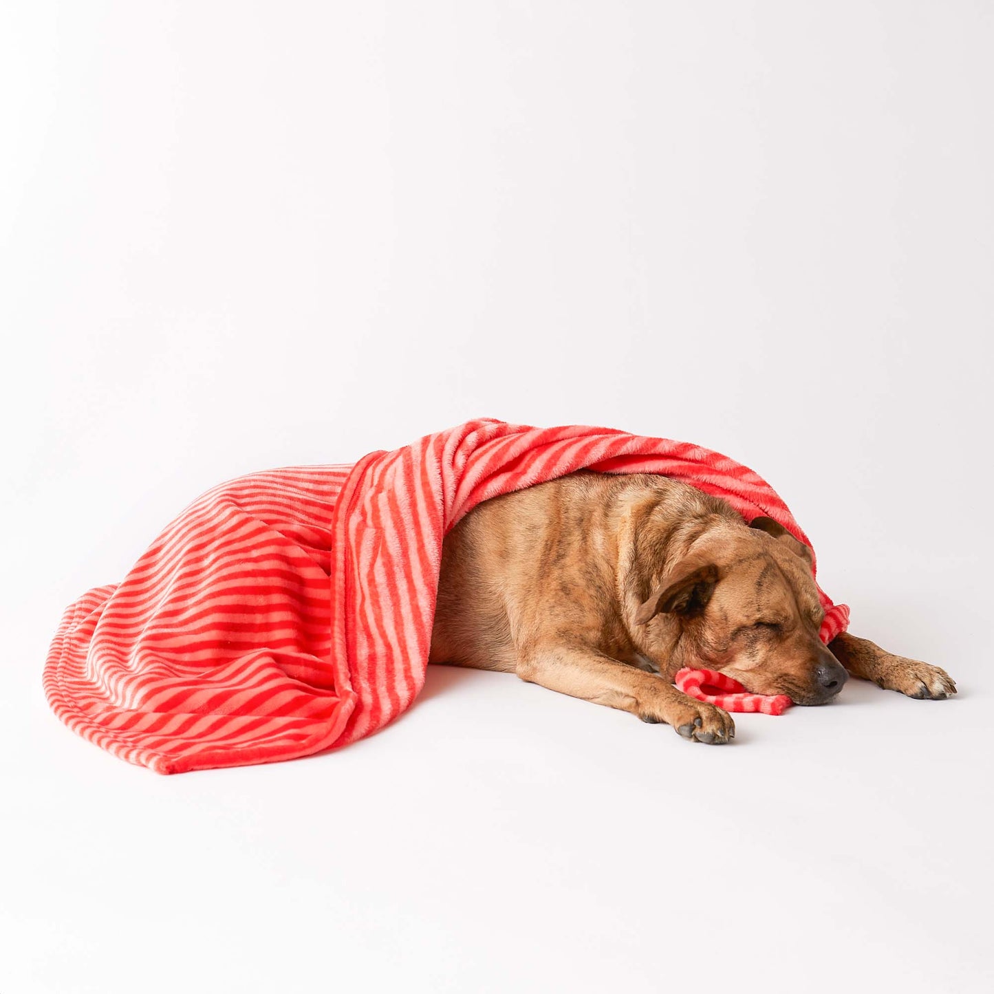 Bone Dry Fleece Pet Blanket, Embossed Bone Print, Red - 36x48"